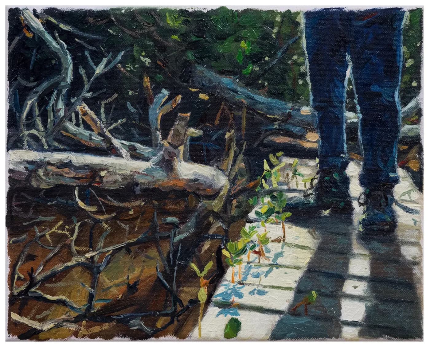 Las piernas de alguien que camina, al borde derecho de un paseo de madera junto a un tronco caído y brotes verdes, con largas sombras sobre los tablones.