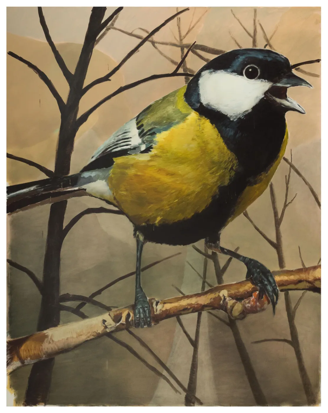 Un pájaro de pecho amarillo con el pico abierto, posado en una rama ante árboles desnudos.